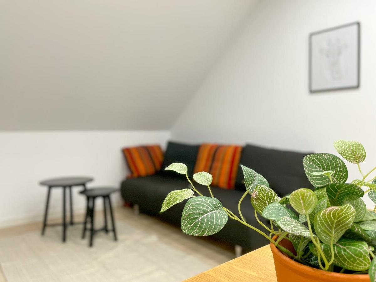 Polch Ferienwohnung Schoenes Maifeld מראה חיצוני תמונה